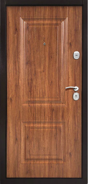 Дверь металлическая Магна МД-75